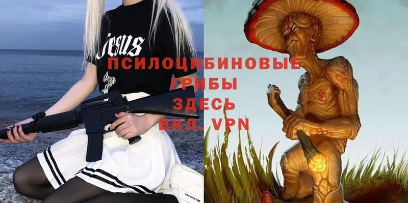 Псилоцибиновые грибы MAGIC MUSHROOMS  KRAKEN ONION  Зеленокумск 